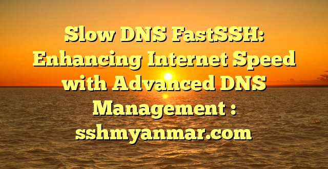 Slow DNS FastSSH: Enhancing Internet Speed with Advanced DNS Management : sshmyanmar.com